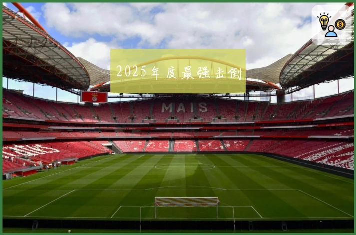 2025年度最强击倒