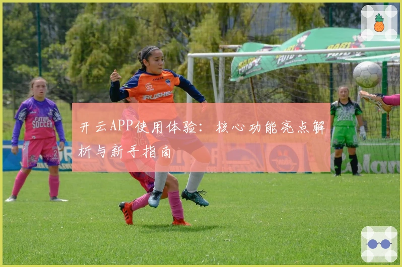 开云APP使用体验：核心功能亮点解析与新手指南