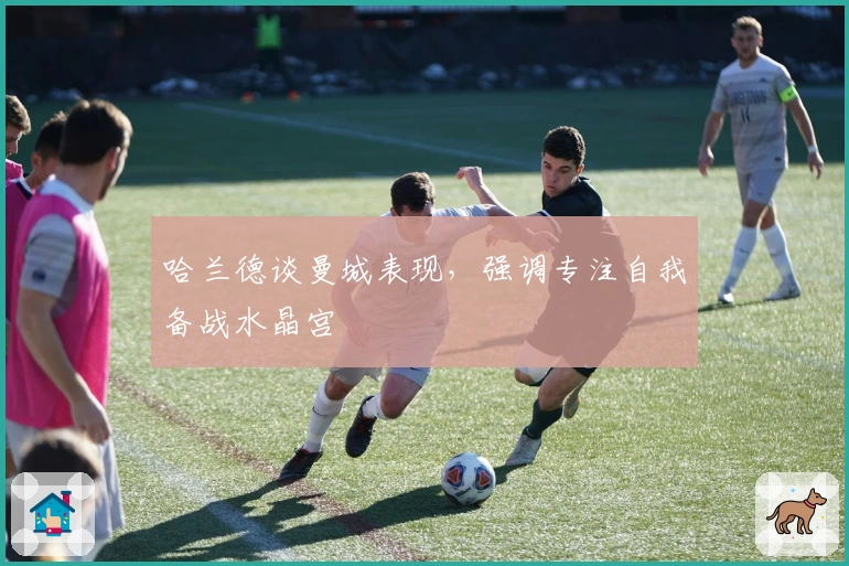 哈兰德谈曼城表现，强调专注自我备战水晶宫