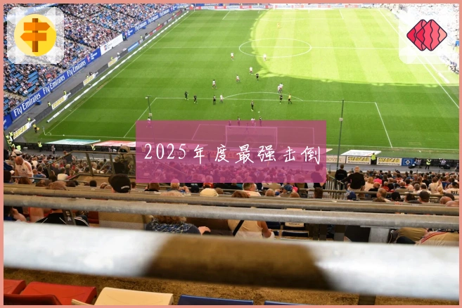 2025年度最强击倒